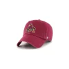 Clearance Keps NHL Clean Up Arizona Coyotes 47 Brand
