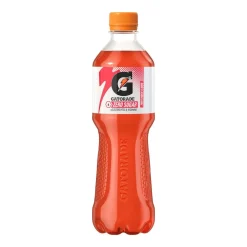 Gatorade Sport Drink 12-Pack Punch Fruit Sportdryck