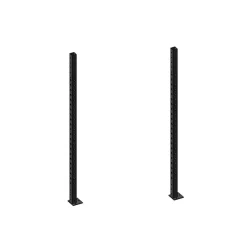 Online Crossfit Rig Uprights 230 Cm Master Fitness