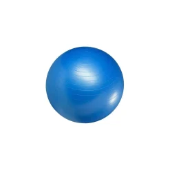 Best Gymboll Master Fitness|Träningsutrustning