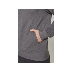 Hot Hoodie Terry Graphic Sr Grey TRUE|Hoodies Senior
